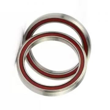 High Quality Hybrid Ceramic Ball Bearing 6805 2RS SUS 440 From China Factory
