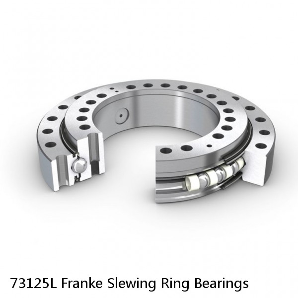 73125L Franke Slewing Ring Bearings