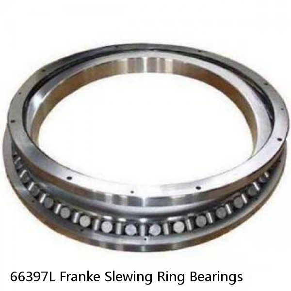 66397L Franke Slewing Ring Bearings