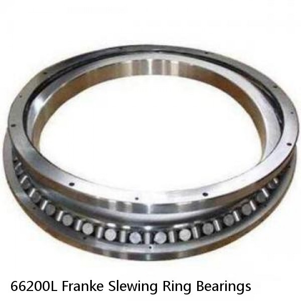 66200L Franke Slewing Ring Bearings