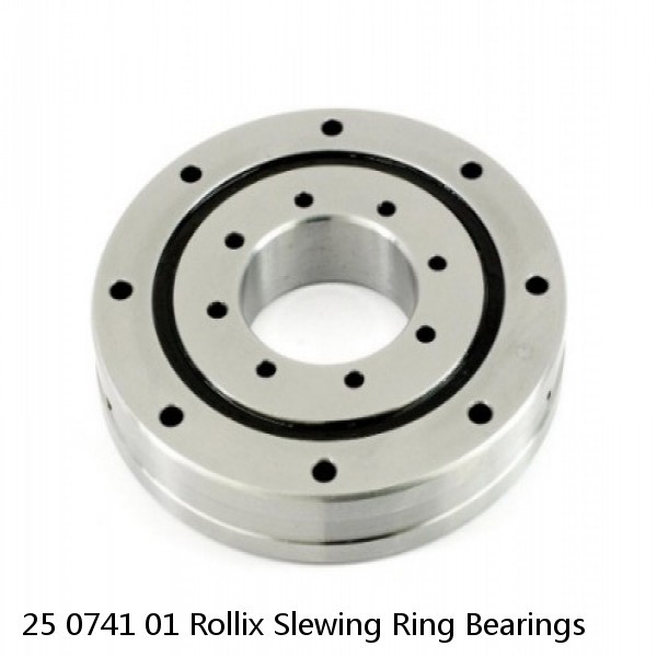 25 0741 01 Rollix Slewing Ring Bearings