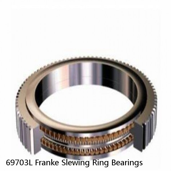 69703L Franke Slewing Ring Bearings