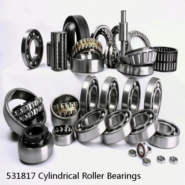 531817 Cylindrical Roller Bearings