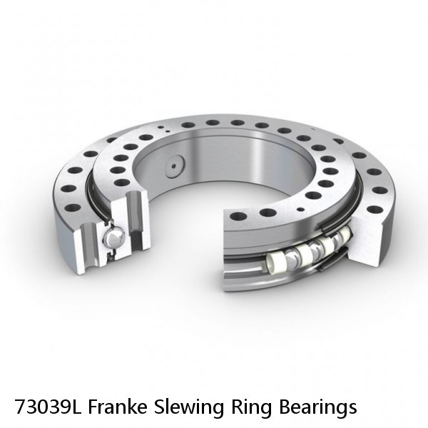 73039L Franke Slewing Ring Bearings