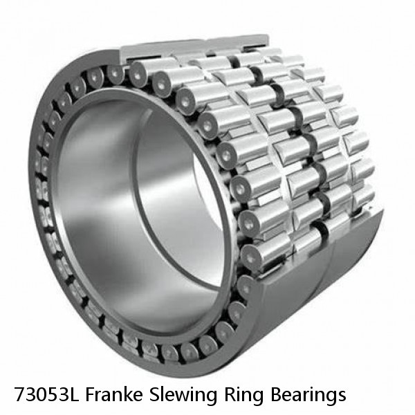 73053L Franke Slewing Ring Bearings