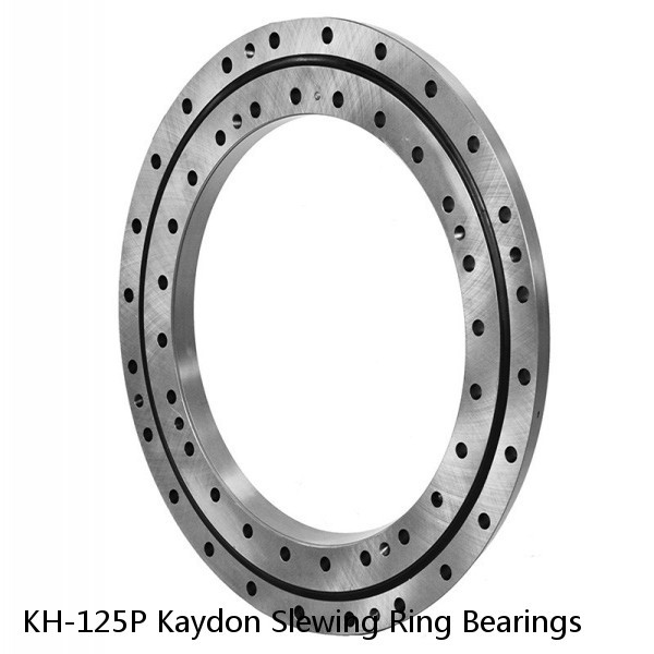 KH-125P Kaydon Slewing Ring Bearings