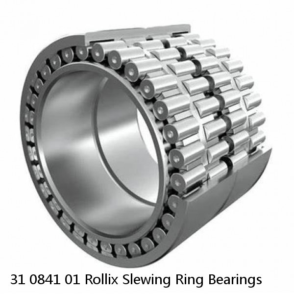 31 0841 01 Rollix Slewing Ring Bearings