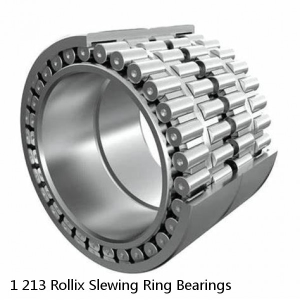 1 213 Rollix Slewing Ring Bearings