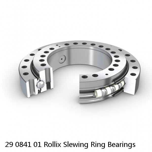 29 0841 01 Rollix Slewing Ring Bearings