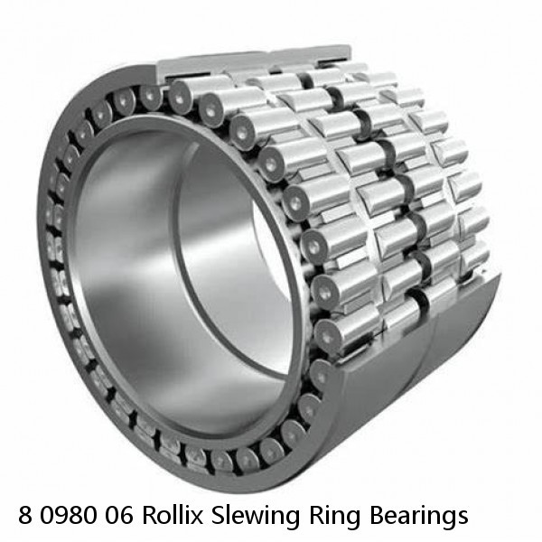 8 0980 06 Rollix Slewing Ring Bearings