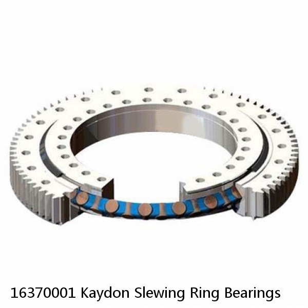 16370001 Kaydon Slewing Ring Bearings