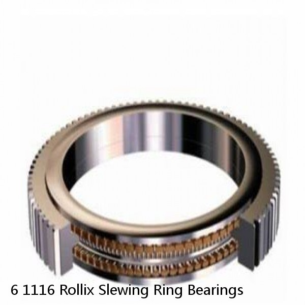 6 1116 Rollix Slewing Ring Bearings