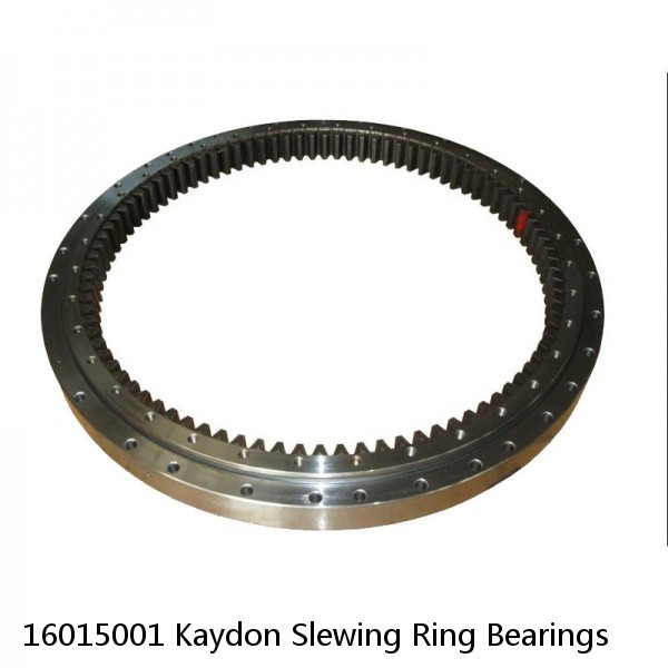 16015001 Kaydon Slewing Ring Bearings