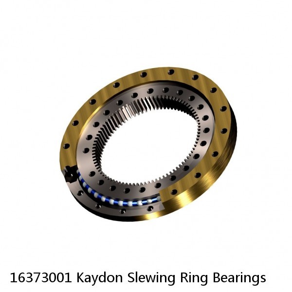 16373001 Kaydon Slewing Ring Bearings