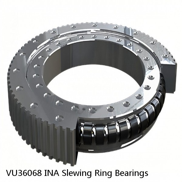 VU36068 INA Slewing Ring Bearings