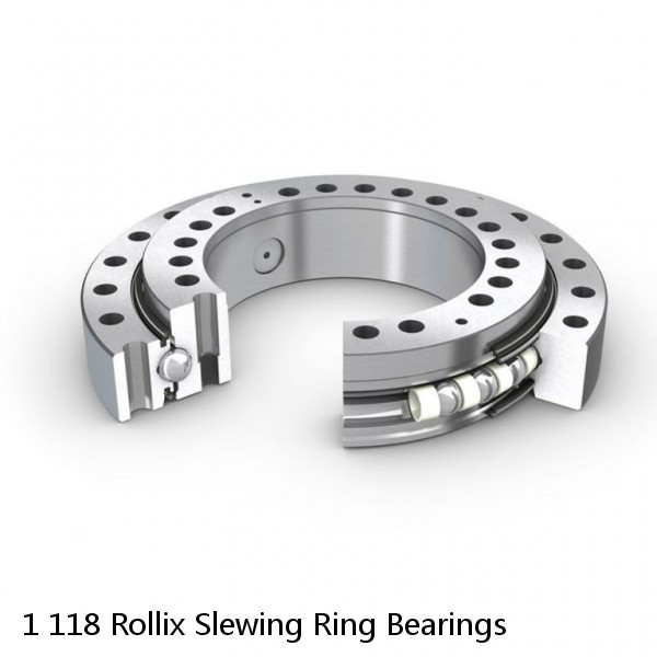 1 118 Rollix Slewing Ring Bearings