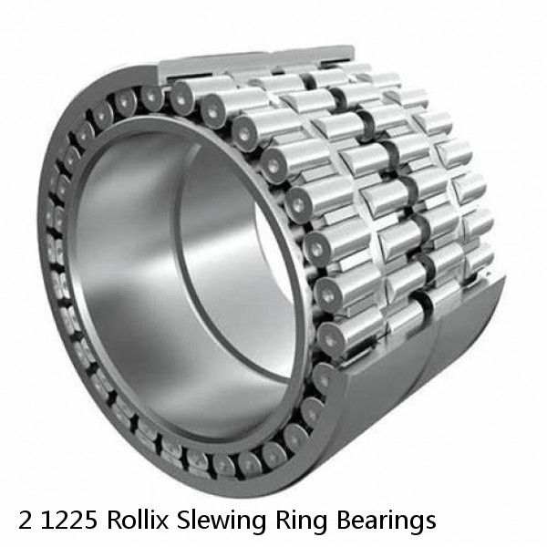 2 1225 Rollix Slewing Ring Bearings