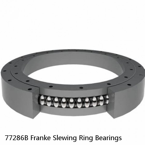 77286B Franke Slewing Ring Bearings