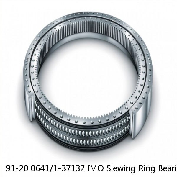 91-20 0641/1-37132 IMO Slewing Ring Bearings