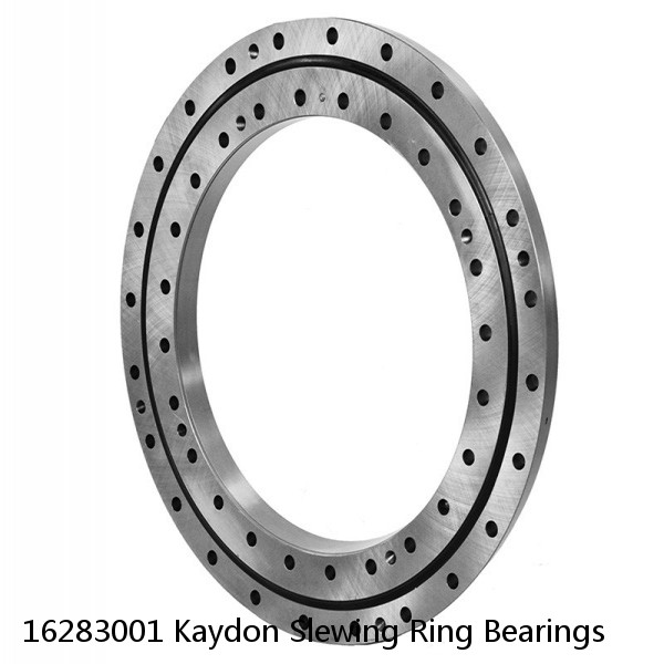 16283001 Kaydon Slewing Ring Bearings