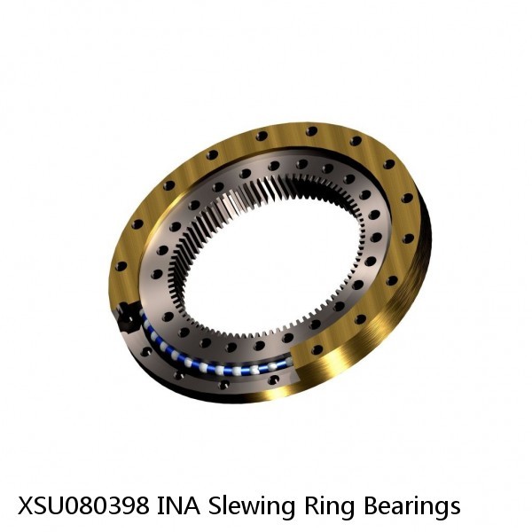 XSU080398 INA Slewing Ring Bearings