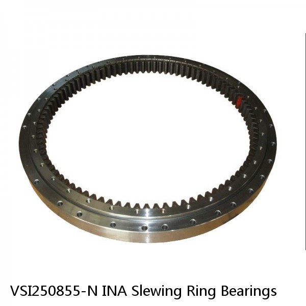 VSI250855-N INA Slewing Ring Bearings