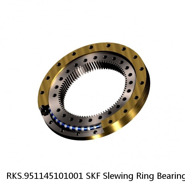 RKS.951145101001 SKF Slewing Ring Bearings