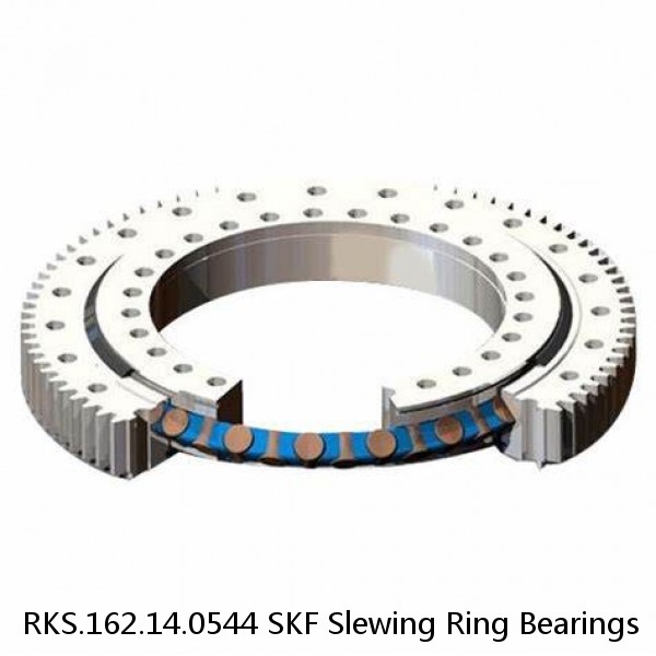 RKS.162.14.0544 SKF Slewing Ring Bearings