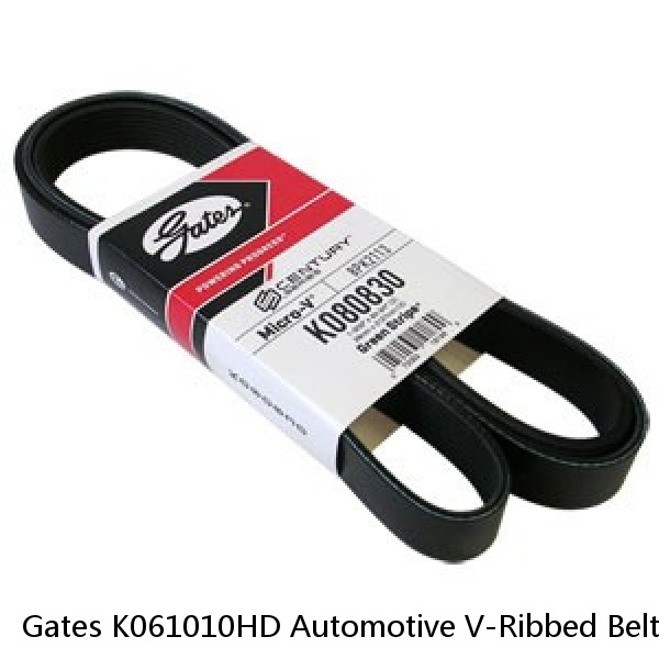 Gates K061010HD Automotive V-Ribbed Belt (Heavy Duty)
