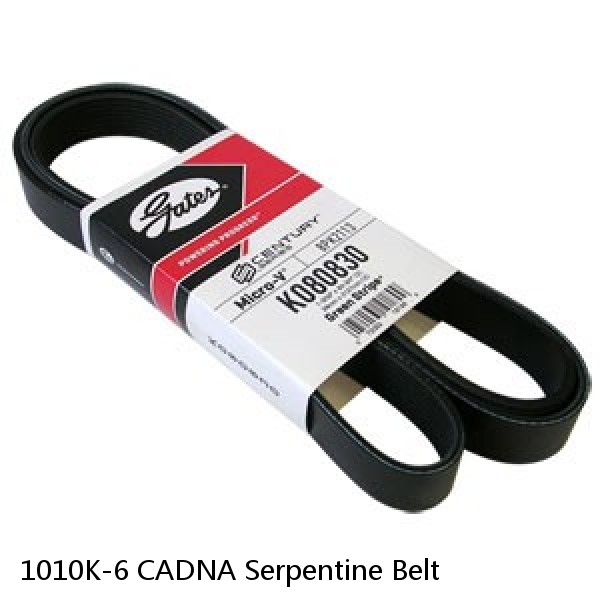 1010K-6 CADNA Serpentine Belt 