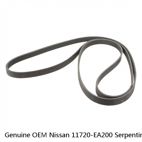 Genuine OEM Nissan 11720-EA200 Serpentine Drive Belt Fan Engine